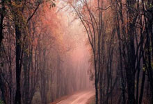 湖人vs火箭前瞻：詹姆斯出战成疑，火箭欲双杀湖人迎接四连胜.