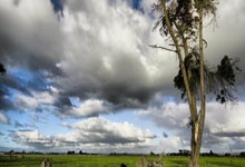 三核发威！里夫斯+东契奇+詹姆斯合砍85分21篮板25助攻.